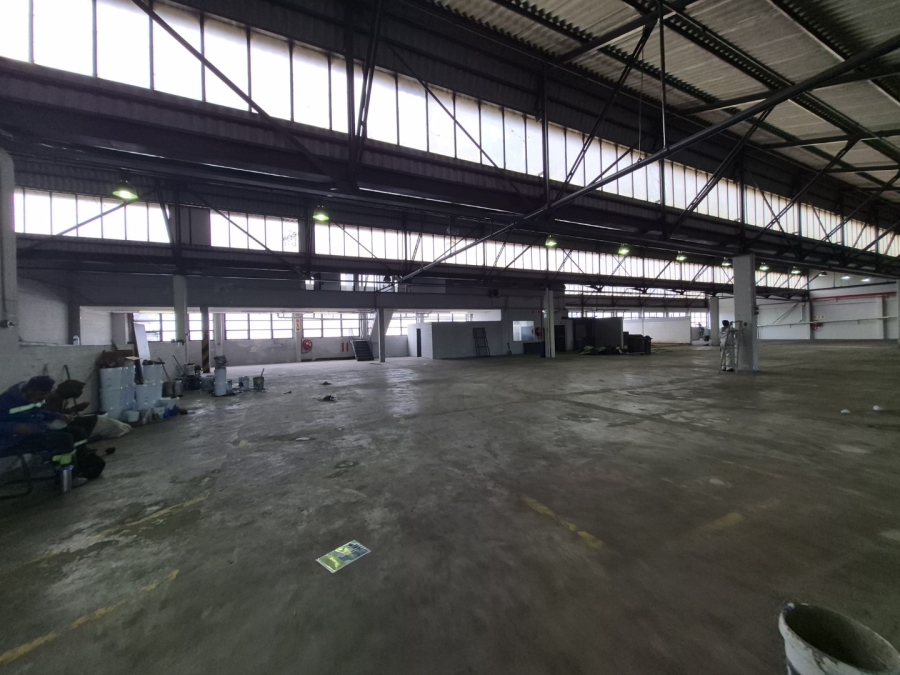 To Let Commercial Property for Rent in Paarden Eiland Western Cape